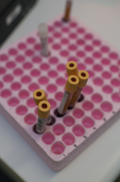 Models of Cancer Translational Research Centre